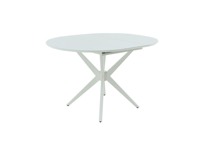 Обеденный стол «Сидней СВ» (Стекло белое, Тон 9 - Эмаль белая), фото #DSC_4310
